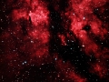 IC 1318 "Schmetterlingsnebel"