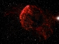 IC 443 "Quallennebel"