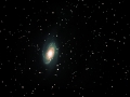 M81