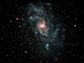 M 33 "Dreiecksgalaxie"
