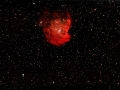 NGC 2175 "Affenkopfnebel"
