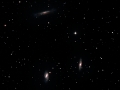 Leo Triplett 2