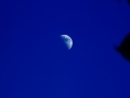 mond4