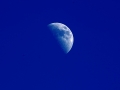 mond5_2