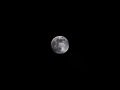mond_5