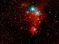 NGC 2264 "Weihnachtsbaumhaufen"