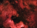 NGC 7000 "Nordamerikanebel"
